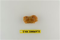 藏品(環紋金沙蟹)的圖片